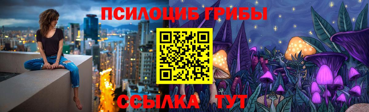 купить наркотики цена  Псилоцибиновые грибы MAGIC MUSHROOMS  Киржач  Вход с VPN  Псилоцибиновые грибы Magic Shrooms 